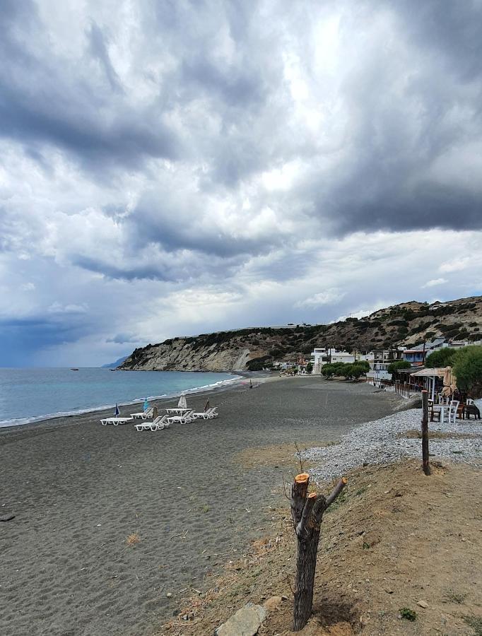 Eirini Apts On The Beach Psari Forada Exteriér fotografie